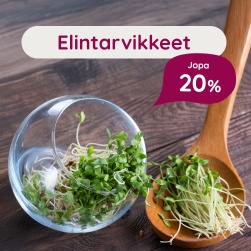 Elintarvikkeet jopa 20 %